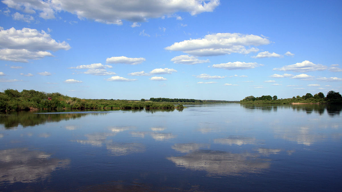 Sterkų žūklė guminukais. Antra dalis Sterkų žūklė guminukais. Antra dalis