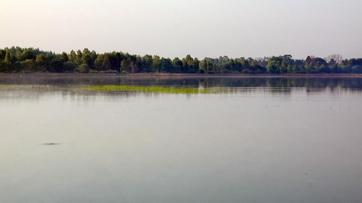 Karosai ir rudens alsavimas Karosai ir rudens alsavimas