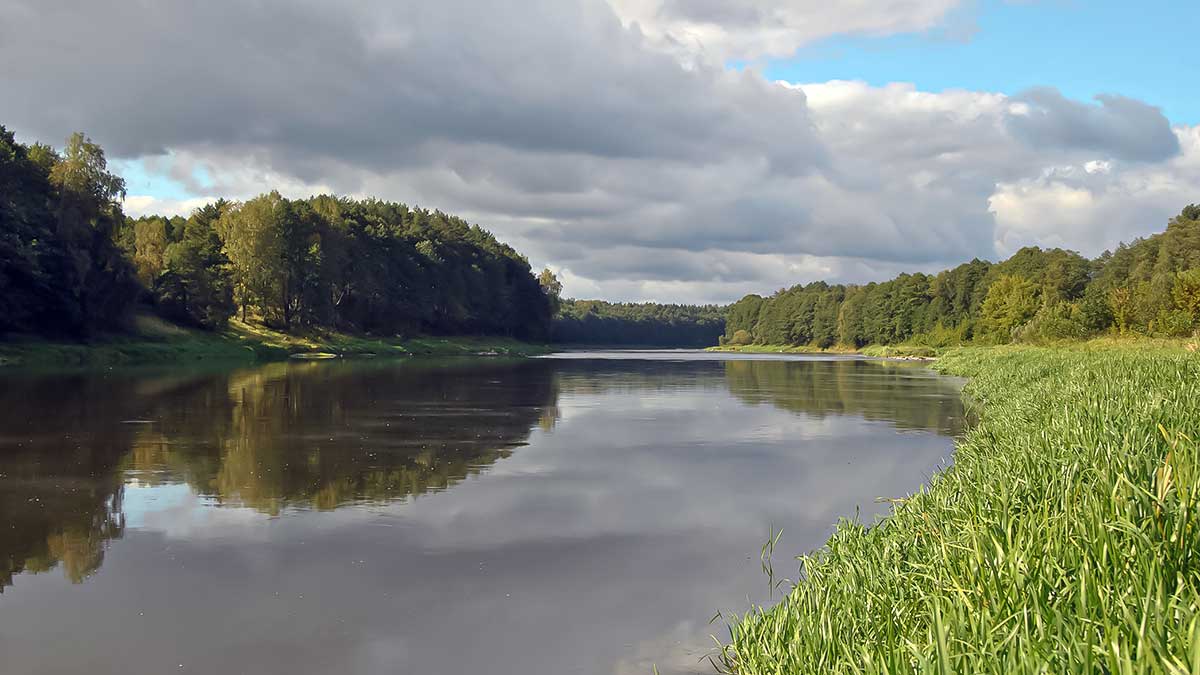 Kaip pagauti Nemune karpį. Masalų ir žūklaviečių paieškos Kaip pagauti Nemune karpį. Masalų ir žūklaviečių paieškos