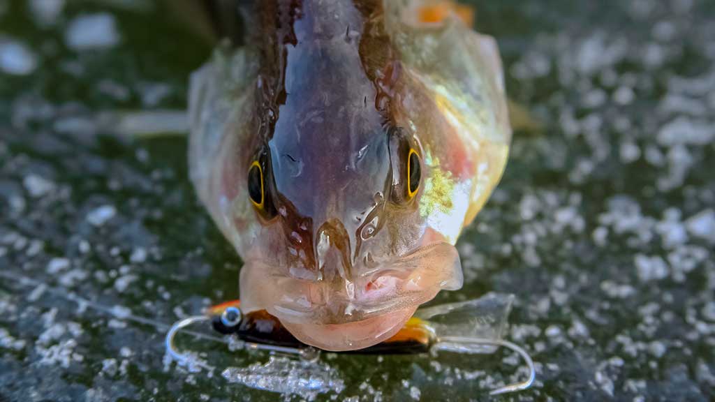 Ant ledo su švytuokle. Pirma dalis Ant ledo su švytuokle. Pirma dalis