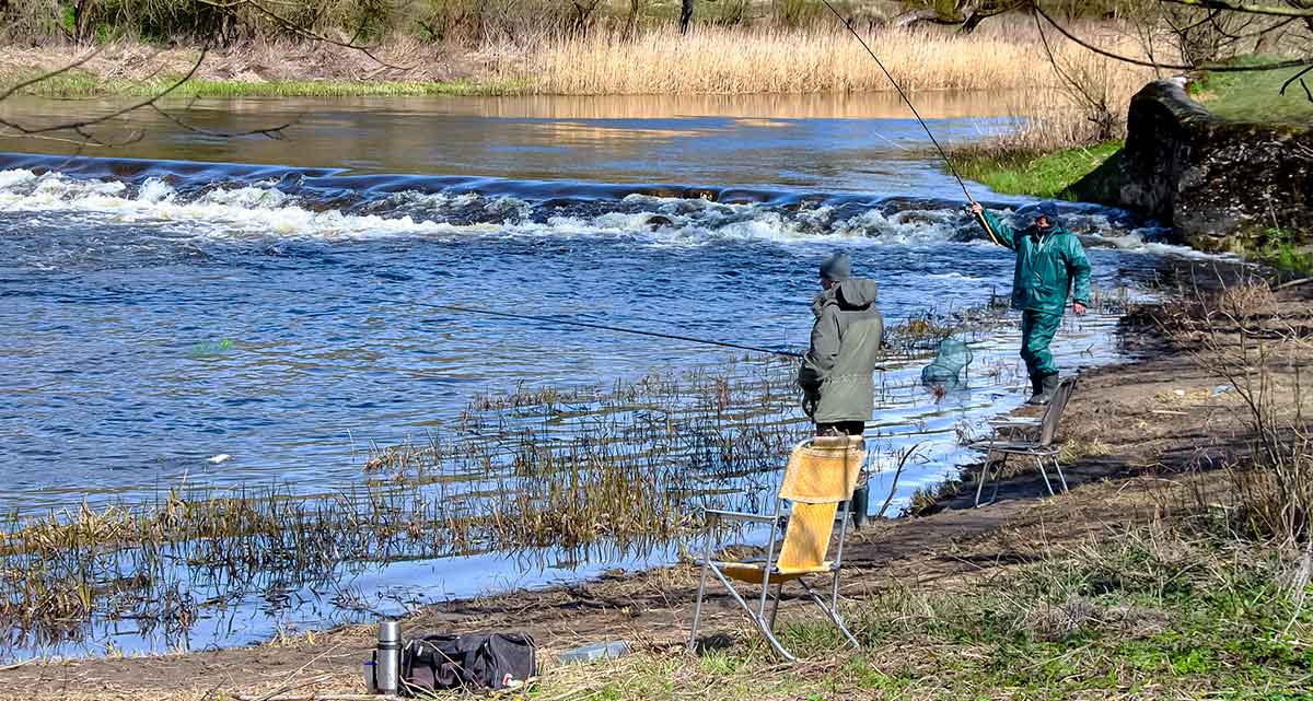 Kodėl sugenda ritės? Kodėl sugenda ritės?