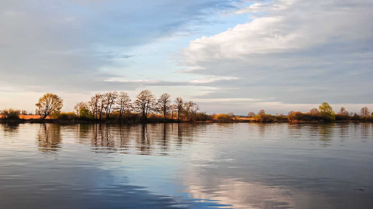Jei salatis arčiau dugno. Vėstant brakonieriavimui šyla klimatas Jei salatis arčiau dugno. Vėstant brakonieriavimui šyla klimatas