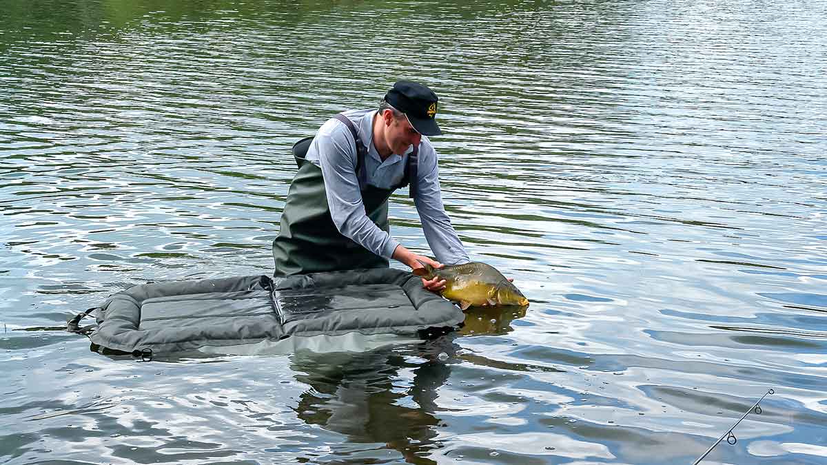 Karpiavimas ekstremaliomis sąlygomis. Technika, taktika ir įvairūs pastebėjimai Karpiavimas ekstremaliomis sąlygomis. Technika, taktika ir įvairūs pastebėjimai