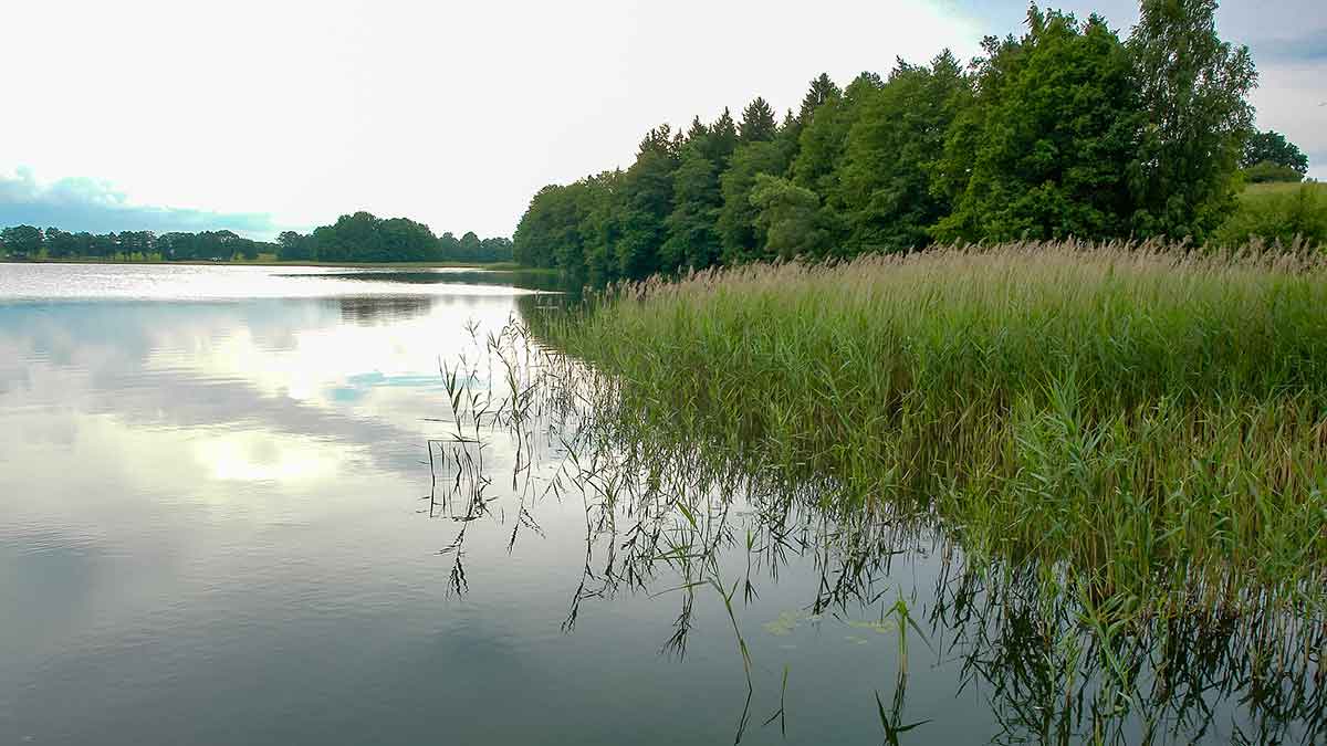 Karpių gaudymo vingrybės. Apie vandens telkinius ir temperatūrą Karpių gaudymo vingrybės. Apie vandens telkinius ir temperatūrą
