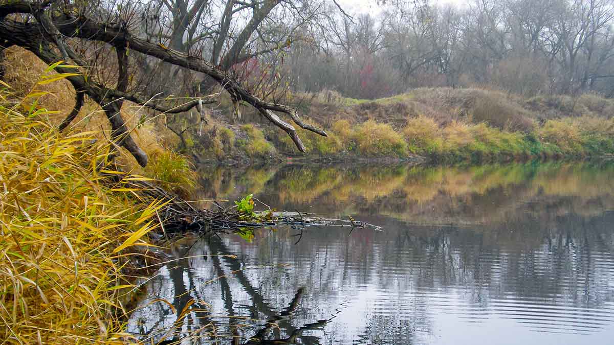 Sistemėlė pradedančiajam ir patyrusiam spiningautojui. Pirma dalis Sistemėlė pradedančiajam ir patyrusiam spiningautojui. Pirma dalis