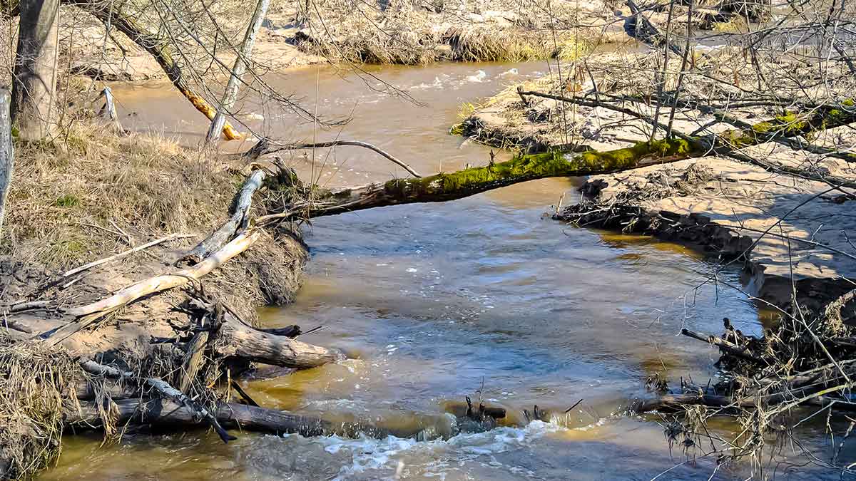 Upėtakių gaudymas sukriukėmis. Pavasario pradžia ir vidurys Upėtakių gaudymas sukriukėmis. Pavasario pradžia ir vidurys
