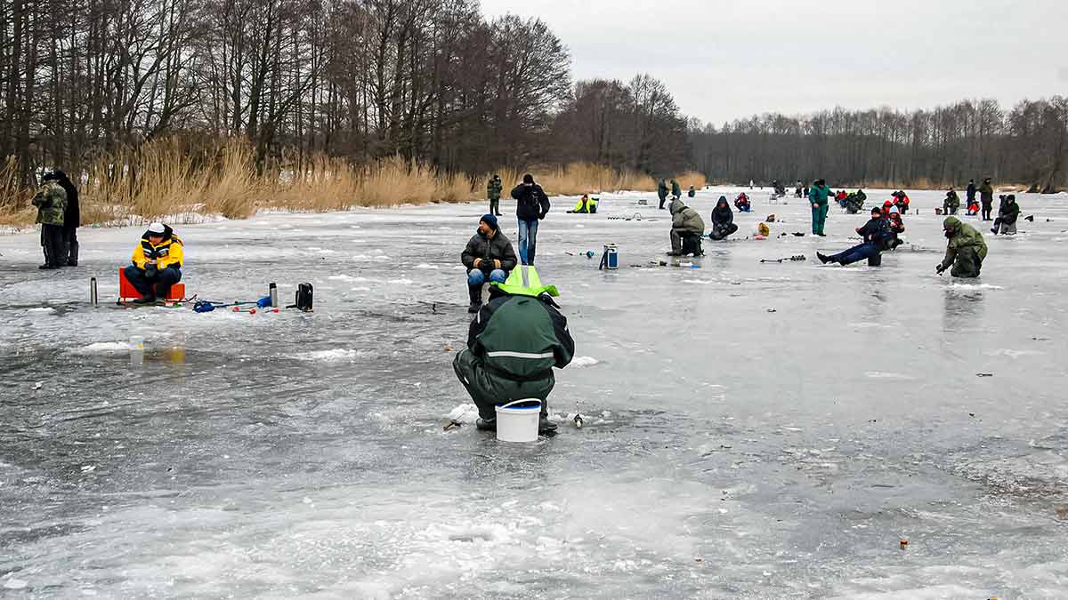 Minijoje ir šalia jos Minijoje ir šalia jos