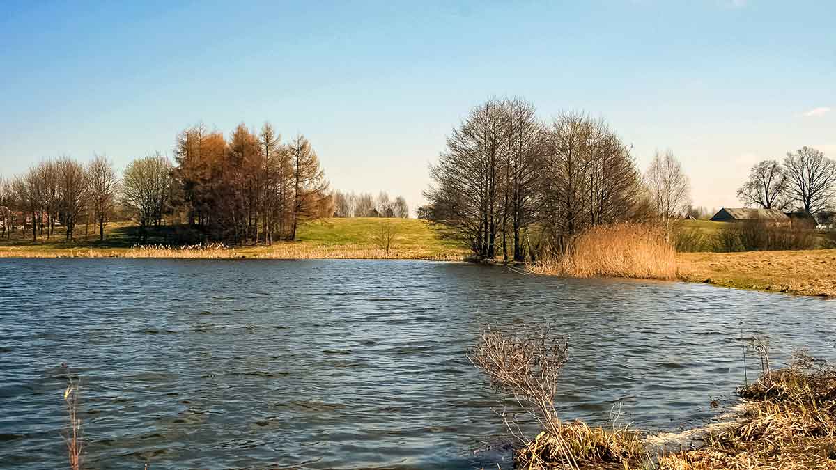 Karosų meškeriojimas naudojant waggler plūdę Karosų meškeriojimas naudojant waggler plūdę