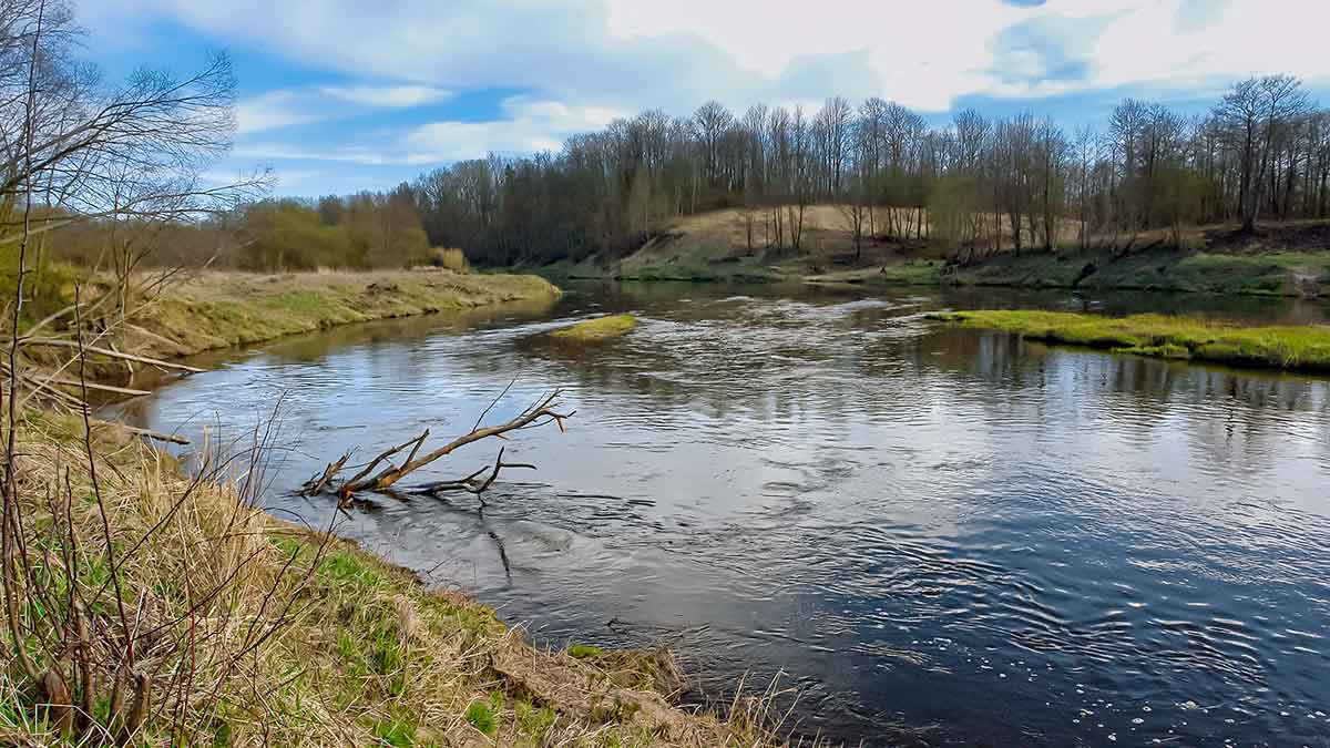 Masalas, kuris neturėjo pavadinimo Masalas, kuris neturėjo pavadinimo