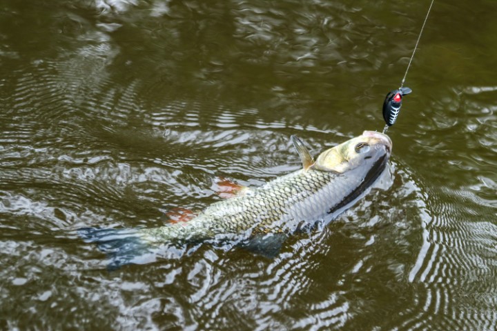 Vobleris Lucky John Pro Haira Tiny F Vobleris Lucky John Pro Haira Tiny F