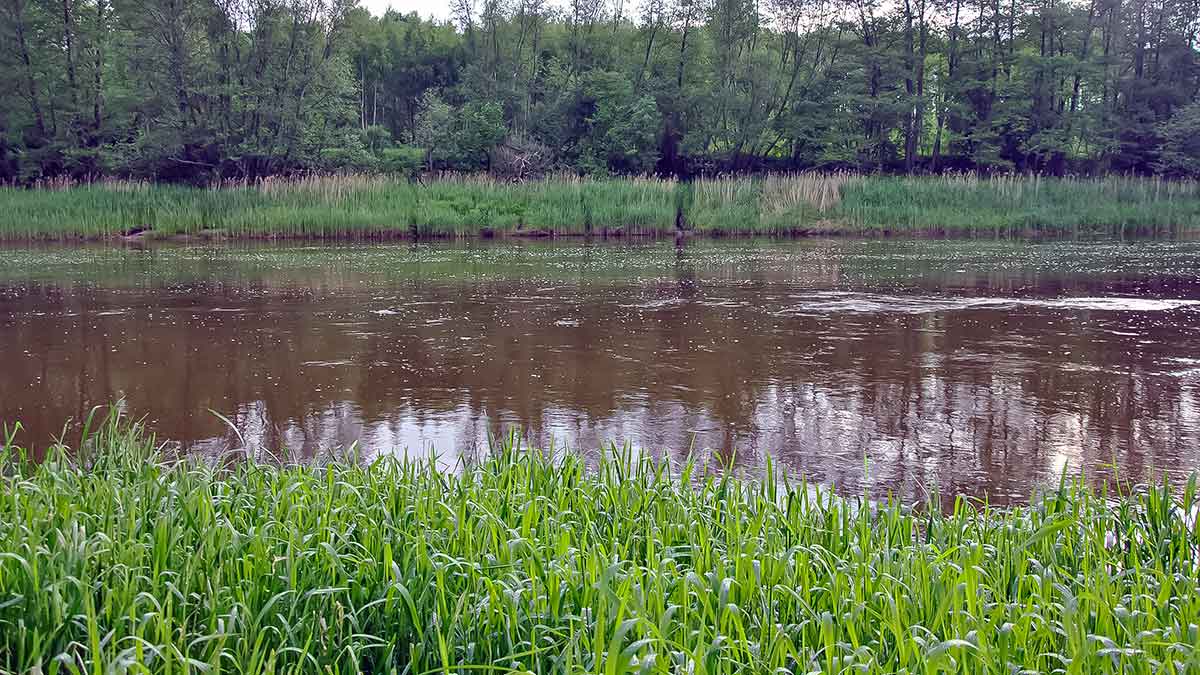 Meknių gaudymas vobleriais Meknių gaudymas vobleriais