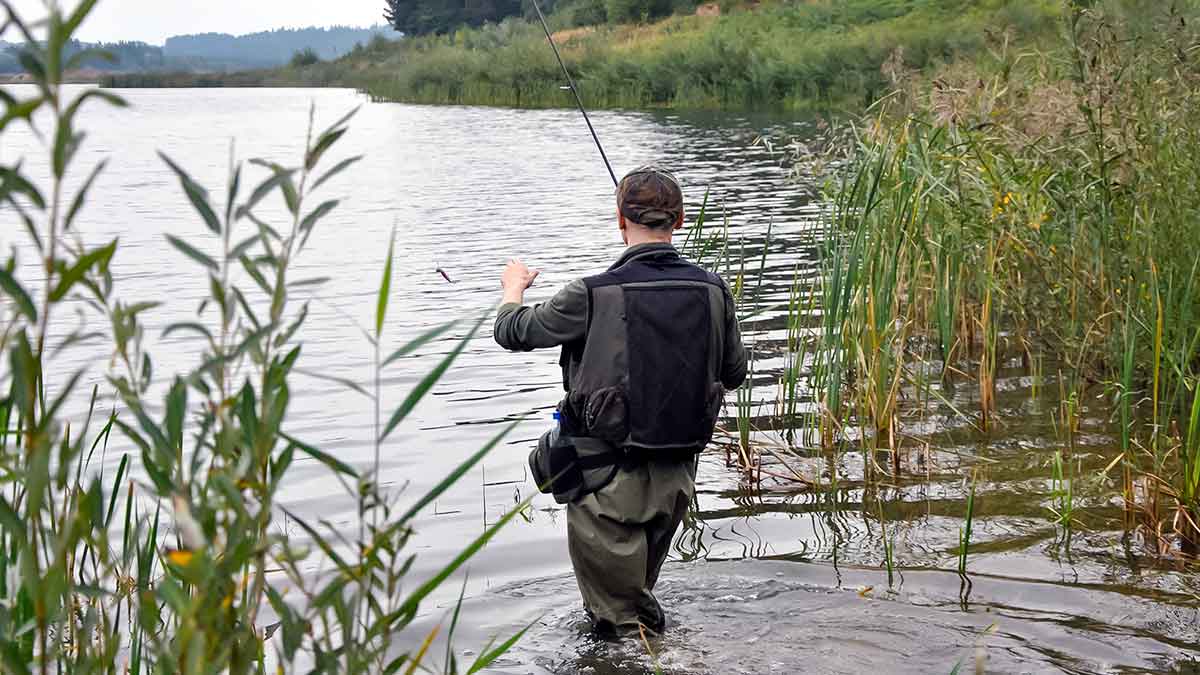 Džigavimas grobuonių akimis Džigavimas grobuonių akimis