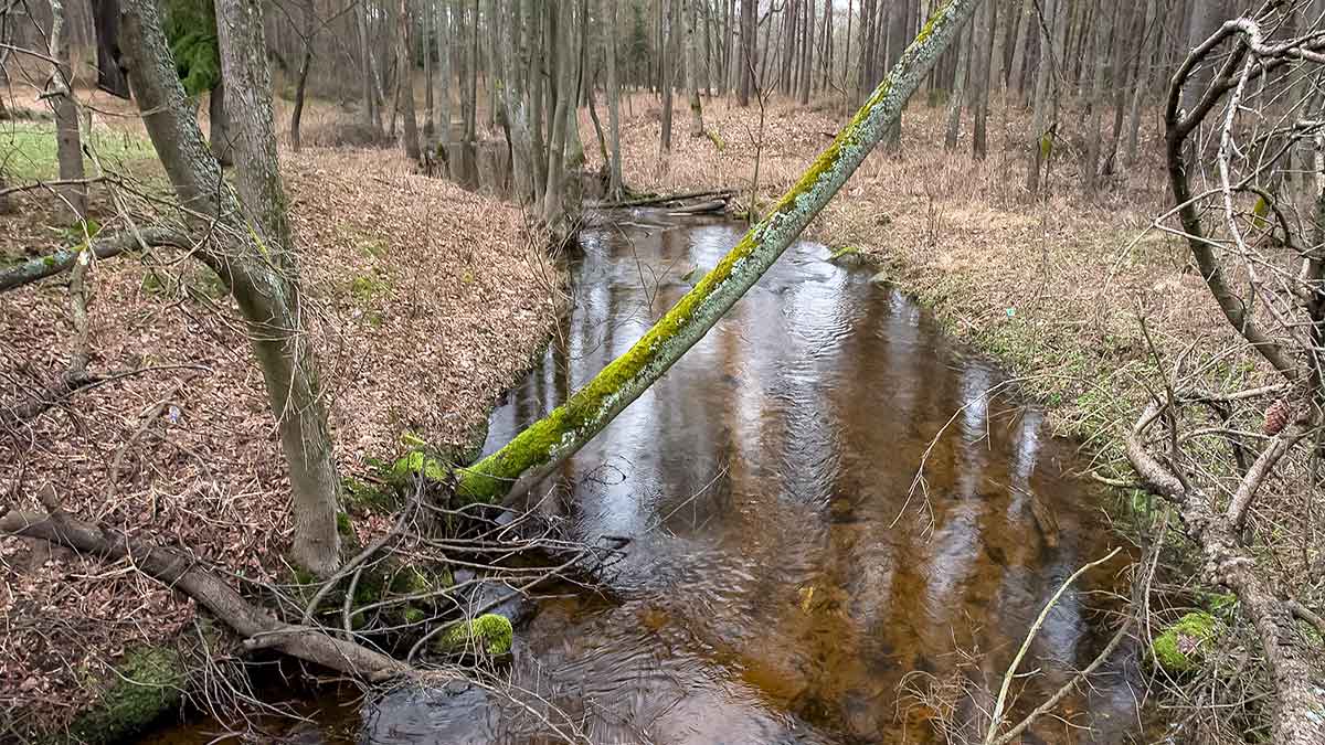 Balta dėmė upėtakininko žemėlapyje? Puikus metas upėtakių žūklei Balta dėmė upėtakininko žemėlapyje? Puikus metas upėtakių žūklei