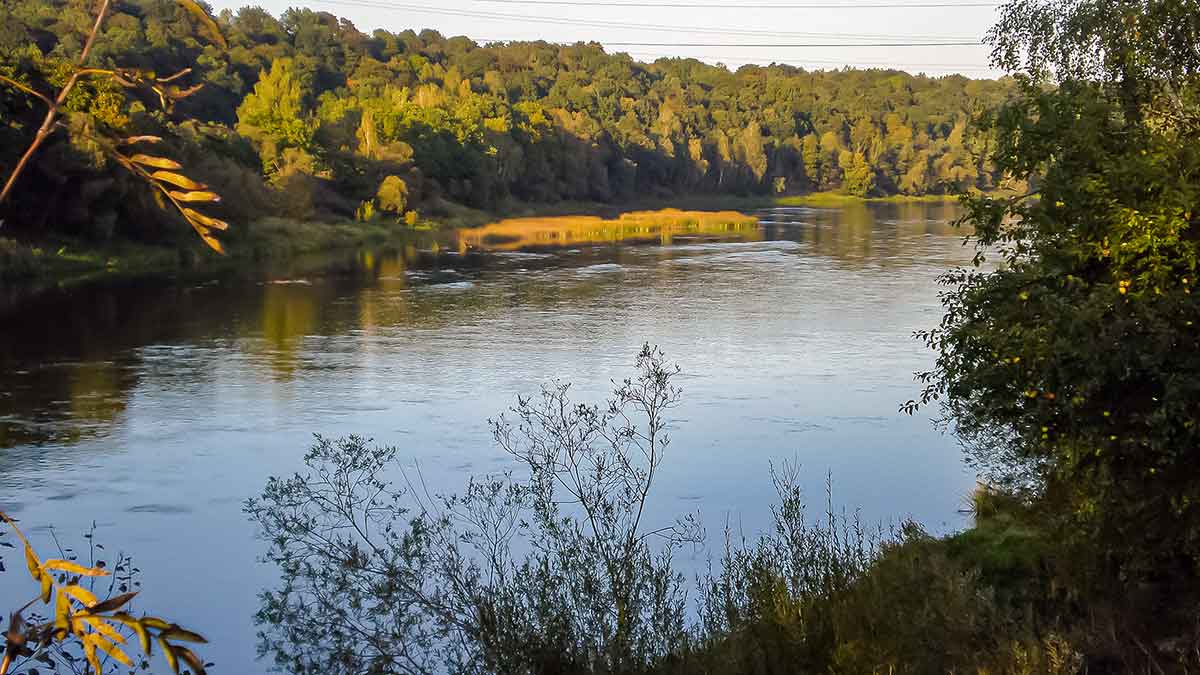 Jei salatis arčiau dugno. Žūklė blizgėmis Jei salatis arčiau dugno. Žūklė blizgėmis