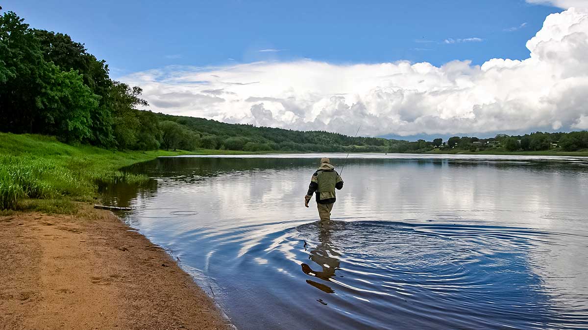 Nemuno įlankos. Kai žuvys kimba „urmu“ Nemuno įlankos. Kai žuvys kimba „urmu“
