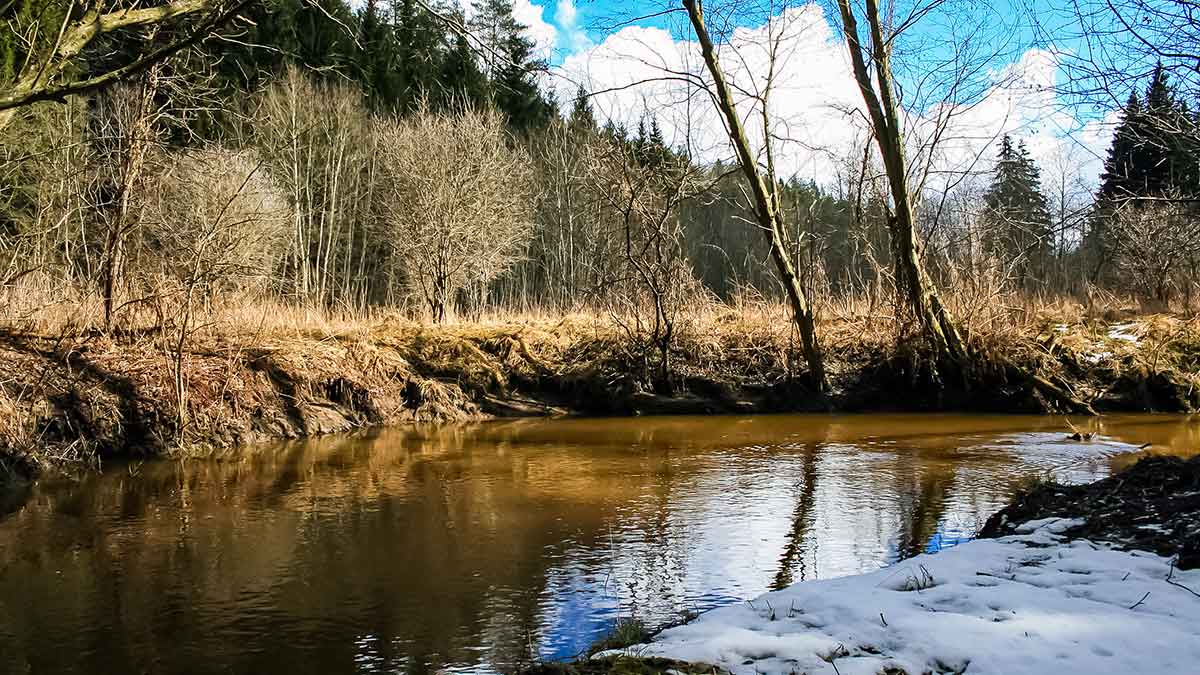 Ar būna geriausi masalai upėtakiams? Guminukų privalumai Ar būna geriausi masalai upėtakiams? Guminukų privalumai