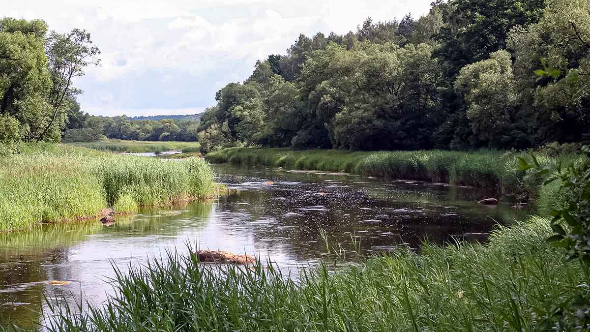 Paslaptingi Dubysos vingiai. Su spiningu – dar įdomiau Paslaptingi Dubysos vingiai. Su spiningu – dar įdomiau
