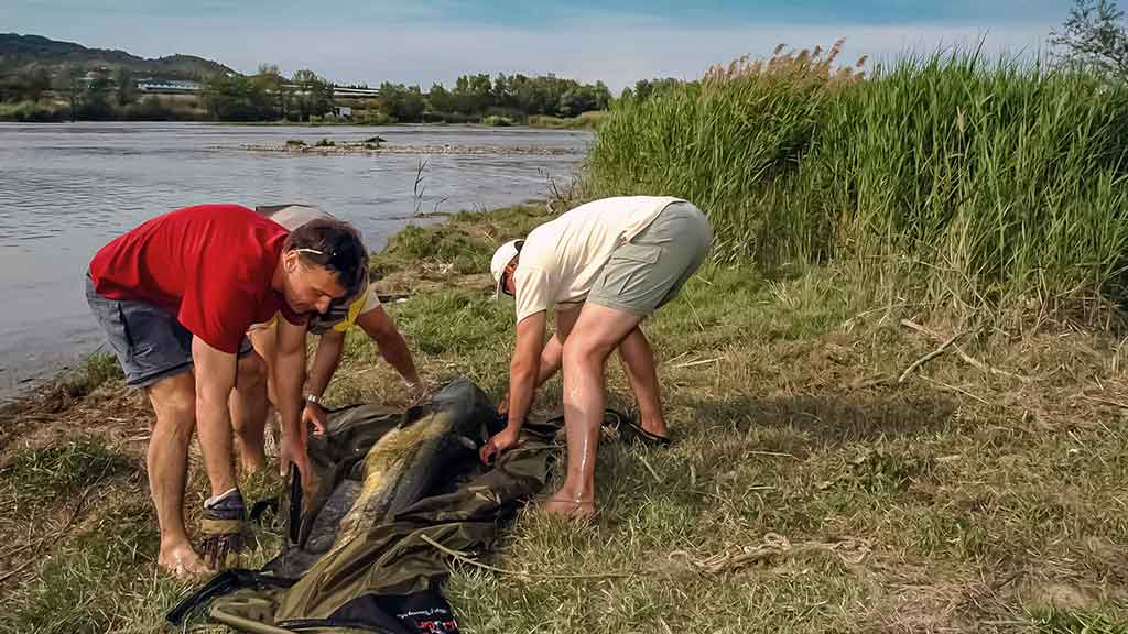 Šamai prie Kaku-kaku salos. Kaip pagauti Ilgauską Šamai prie Kaku-kaku salos. Kaip pagauti Ilgauską