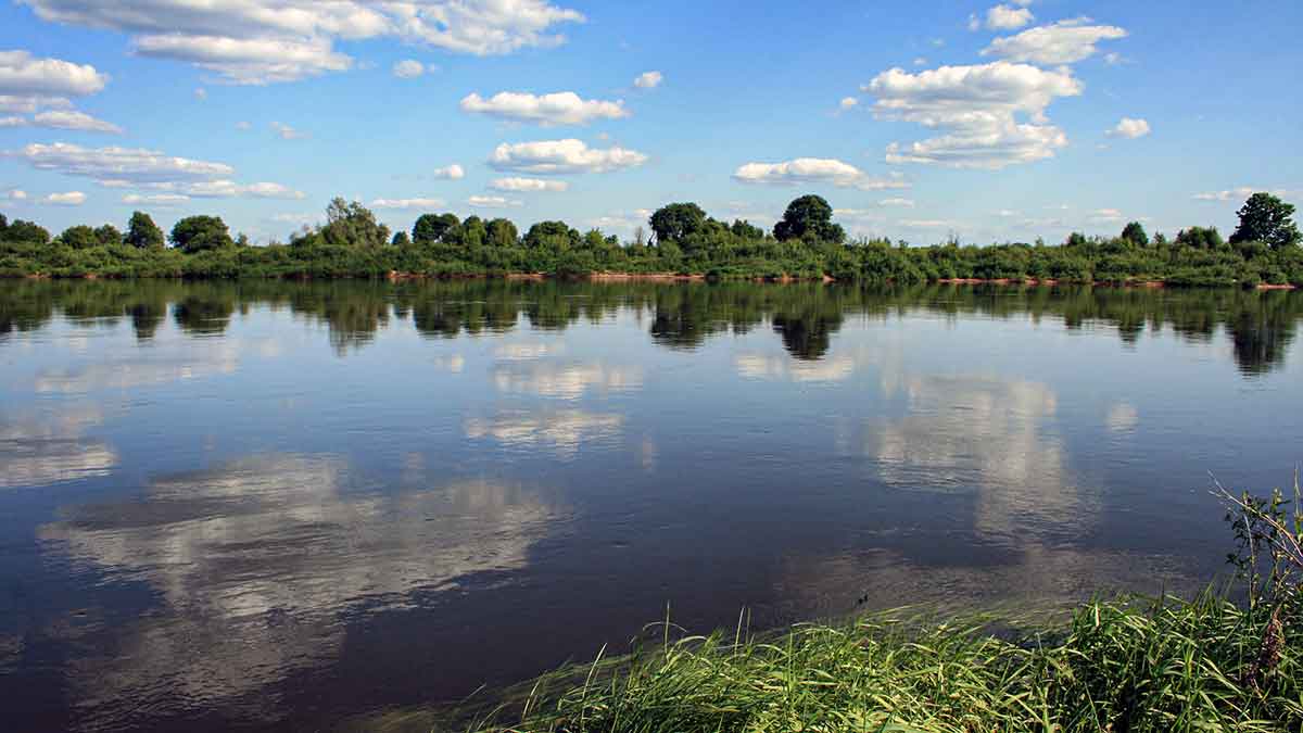 Sterkų žūklė guminukais. Pirma dalis Sterkų žūklė guminukais. Pirma dalis