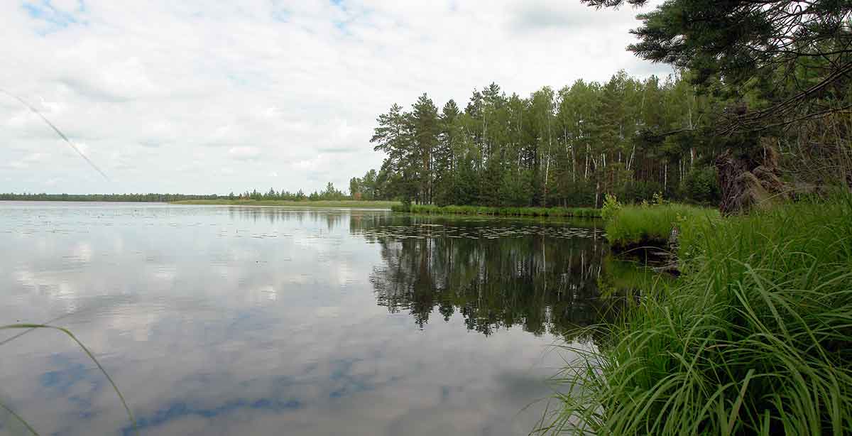Didelės raudės gaudymas arba kur velniai vaikus veda Didelės raudės gaudymas arba kur velniai vaikus veda
