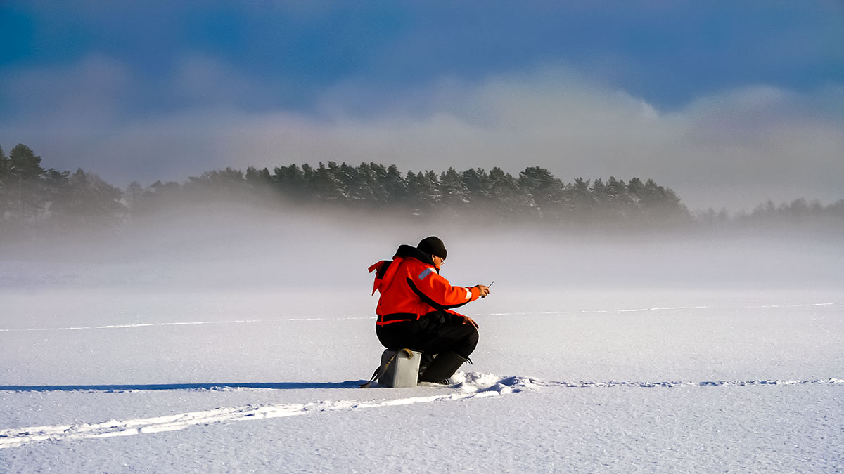 Bemasalinė avižėlė – mitai ir tikrovė Bemasalinė avižėlė – mitai ir tikrovė