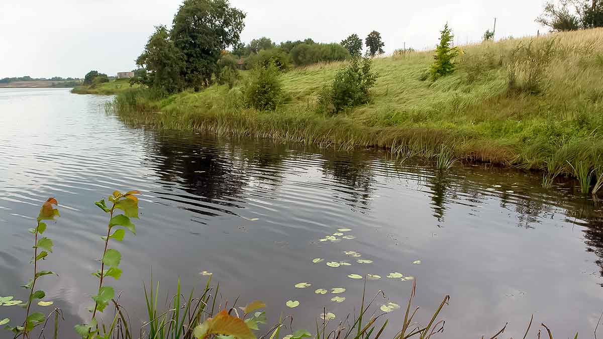 Kiekvienoje baloje savos taisyklės. Pirma dalis Kiekvienoje baloje savos taisyklės. Pirma dalis