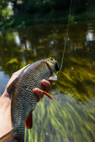 Vobleris Lucky John Pro Haira Tiny F Vobleris Lucky John Pro Haira Tiny F