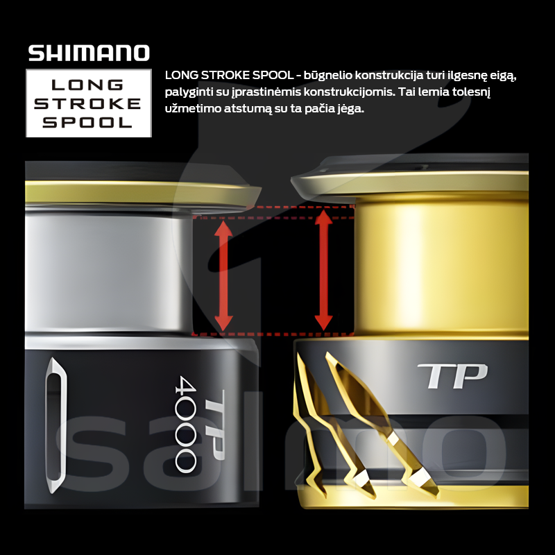 Ritė Shimano Stradic FL Ritė Shimano Stradic FL