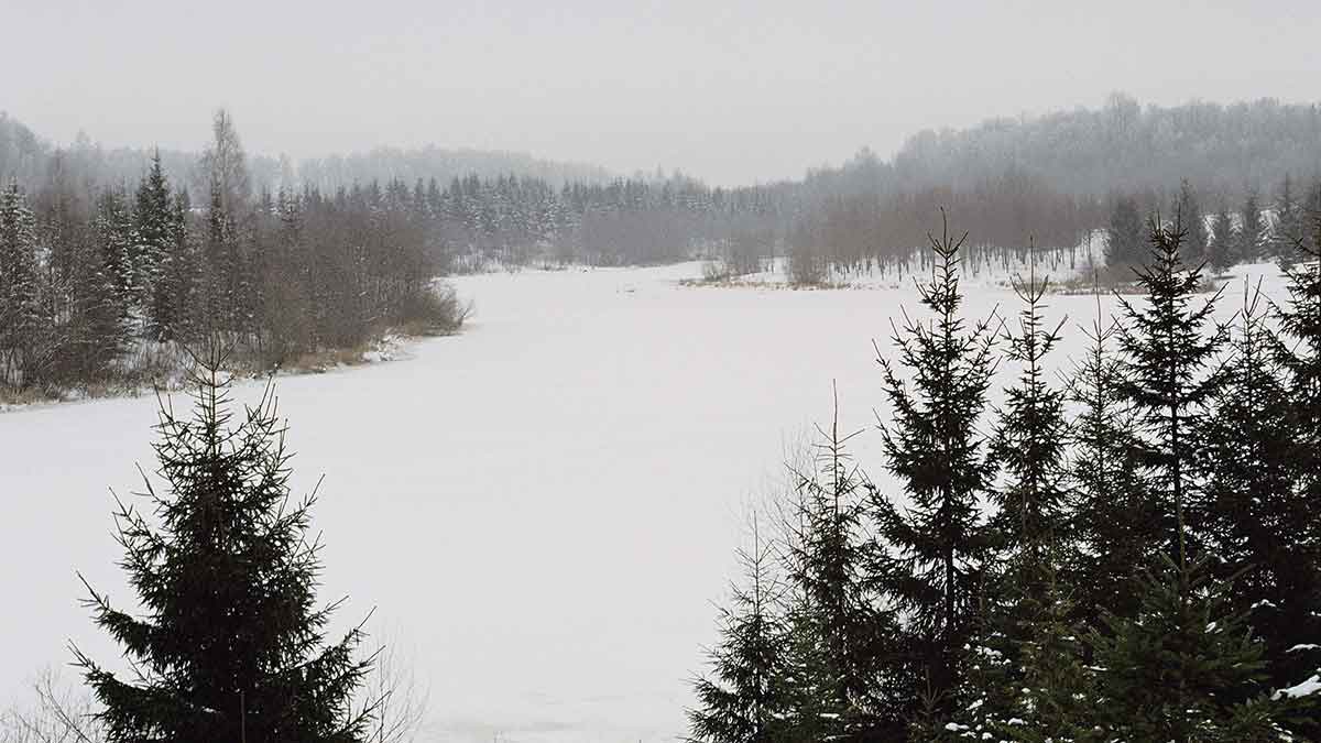 Kuojos tvenkiny – įranga, masalai, gaudymo technika Kuojos tvenkiny – įranga, masalai, gaudymo technika
