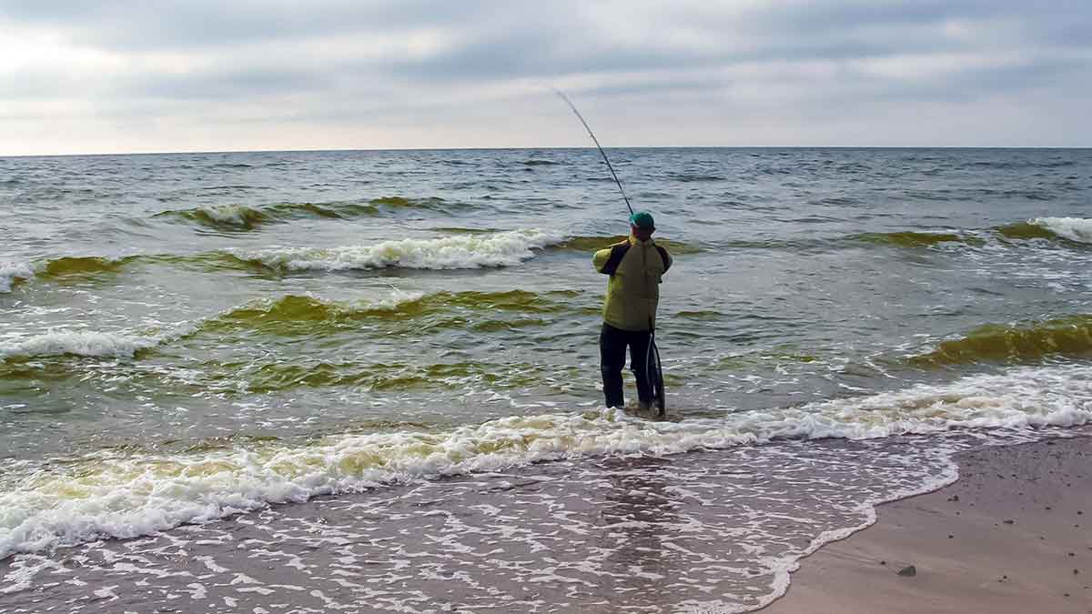 Vėjo žuvies gaudymas. Antra dalis Vėjo žuvies gaudymas. Antra dalis