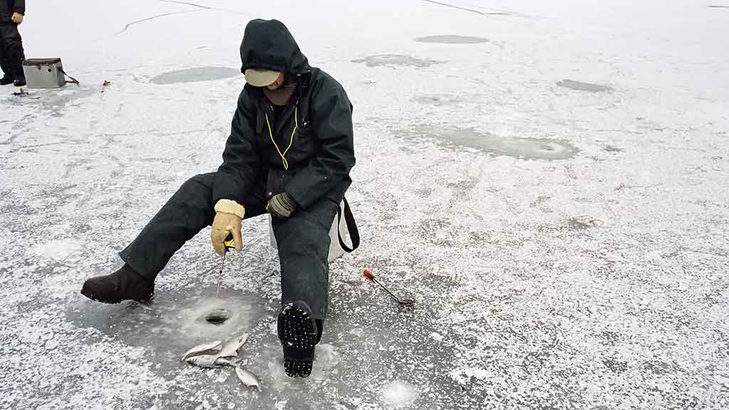 Velniukai ir ožkos – universalūs masalai poledinei žūklei Velniukai ir ožkos – universalūs masalai poledinei žūklei