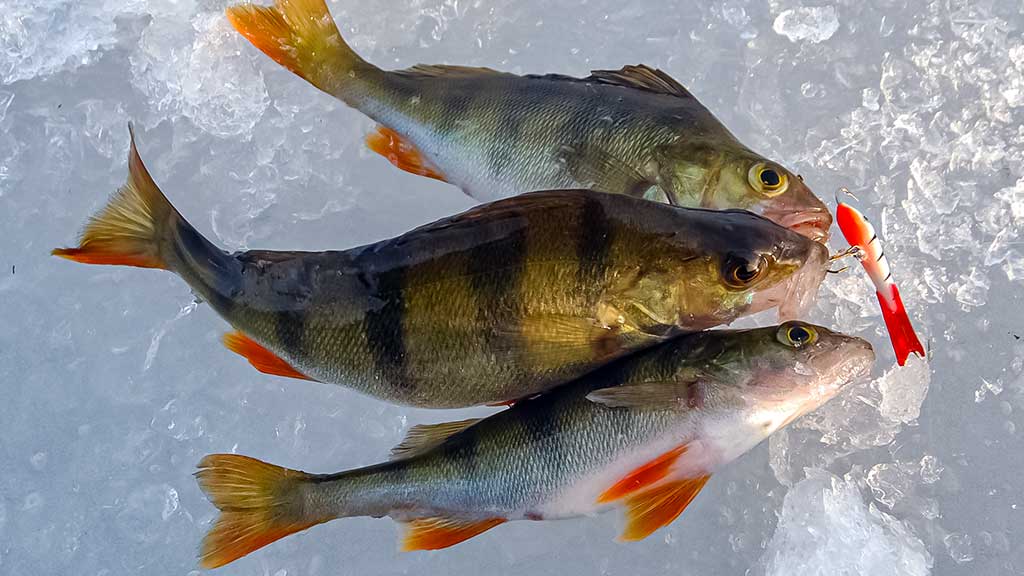 Ant ledo su švytuokle. Pirma dalis Ant ledo su švytuokle. Pirma dalis