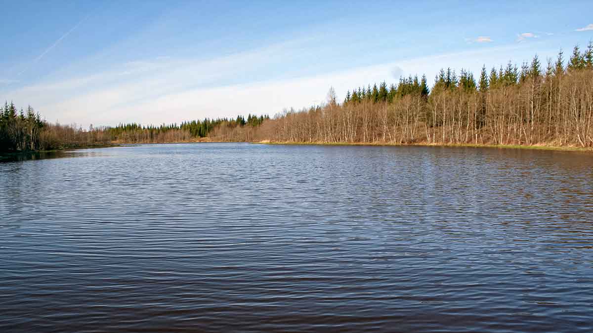 Nubudusio vandens vilionės. Pirma dalis Nubudusio vandens vilionės. Pirma dalis