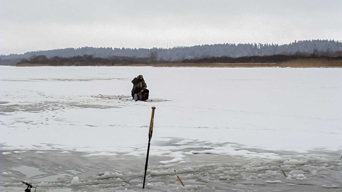 Dar kartą apie šoninius pavadėlius Dar kartą apie šoninius pavadėlius