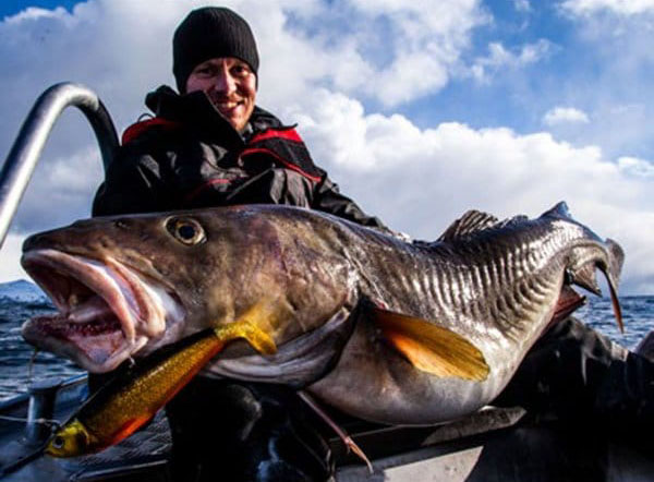 Guminukas Savage Gear Cutbait Herring Guminukas Savage Gear Cutbait Herring