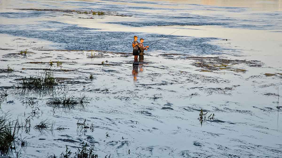 Vandens džiunglių labirintuose. Dar keli prisitaikėliai Vandens džiunglių labirintuose. Dar keli prisitaikėliai
