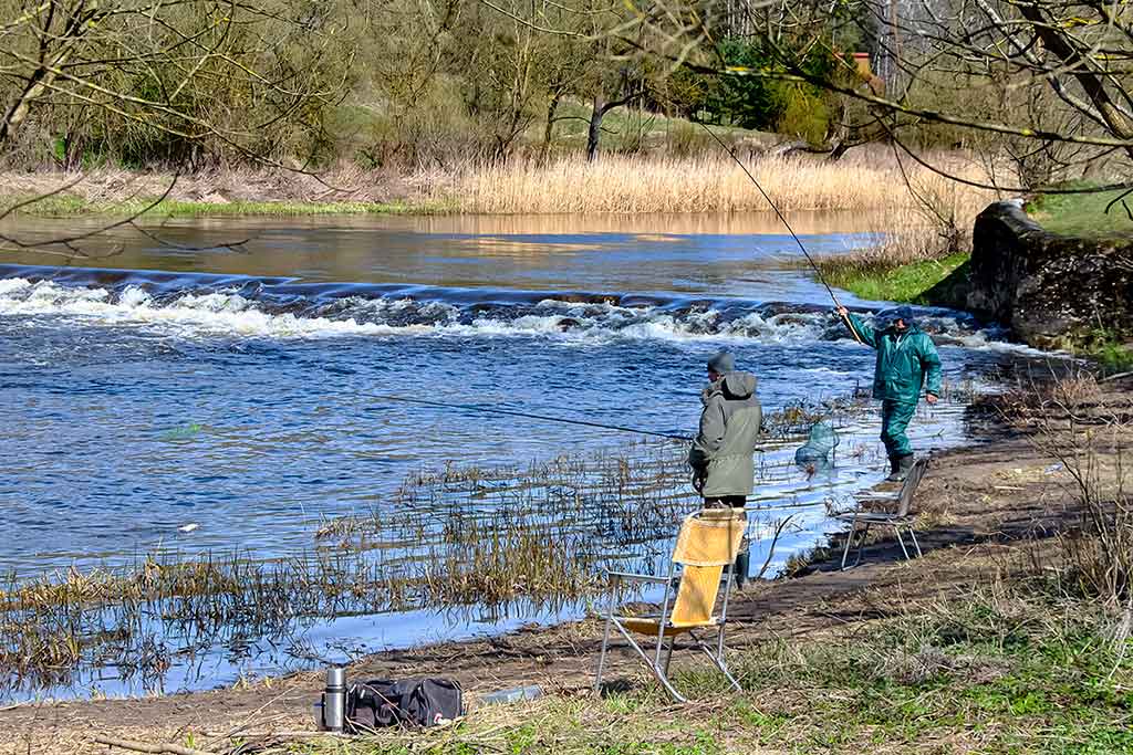 Kodėl sugenda ritės? Kodėl sugenda ritės?