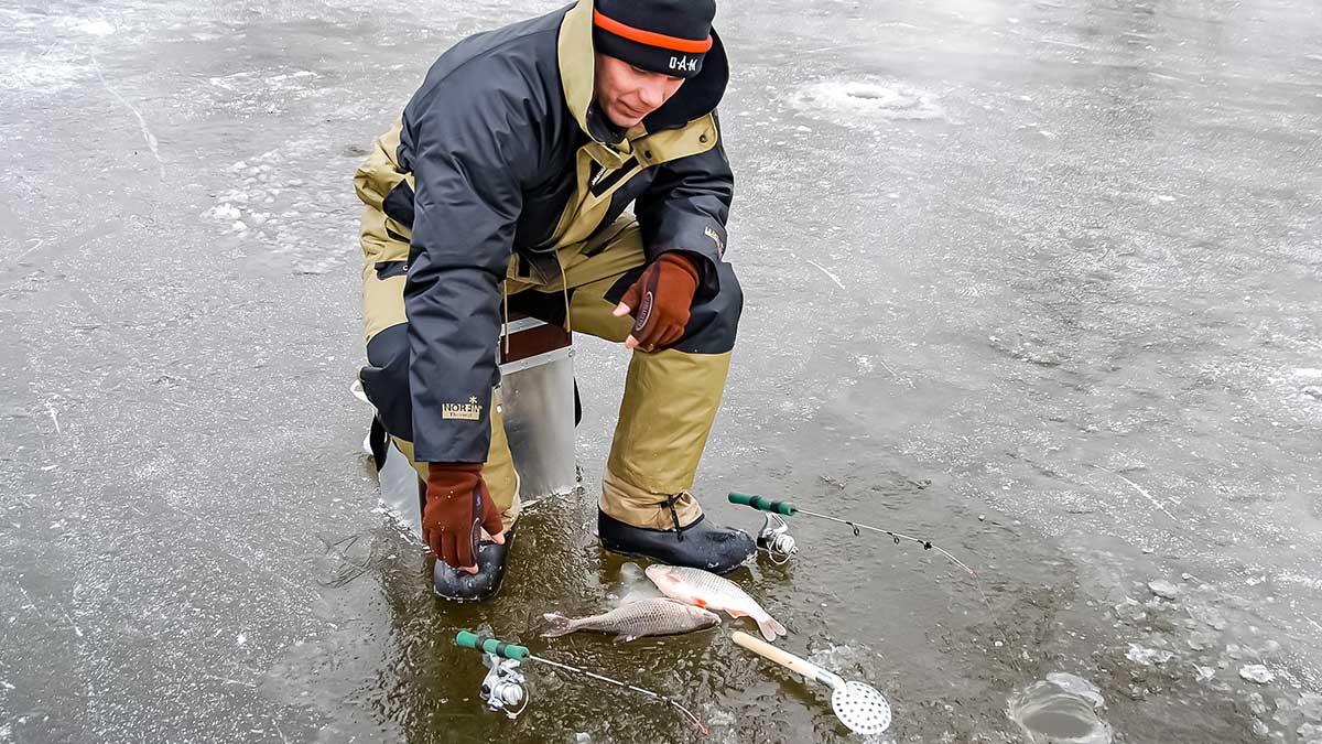 Tvenkinio kuojos. Nejaukinsi – mažiau pagausi Tvenkinio kuojos. Nejaukinsi – mažiau pagausi