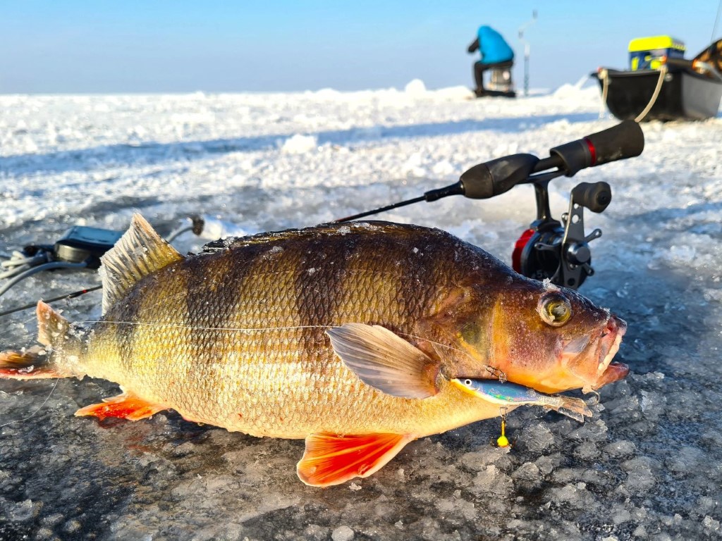 Švytuoklė Lucky John Viking Švytuoklė Lucky John Viking
