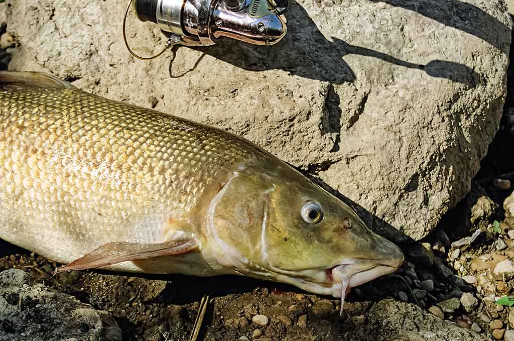 Naktį su plūdine. Trečia dalis Naktį su plūdine. Trečia dalis