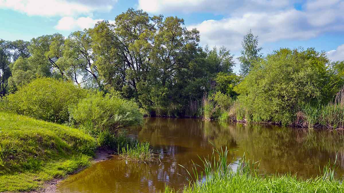 Šapalus – guminukais Šapalus – guminukais