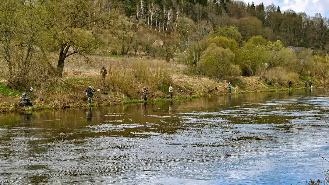 Šeštadienis, balandžio 22 – oji. Jau prasidėjo! Šeštadienis, balandžio 22 – oji. Jau prasidėjo!