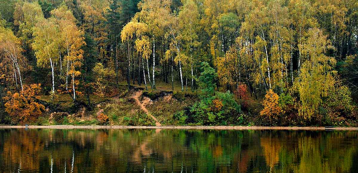 Meškeriojimas besileidžiančiu masalu Meškeriojimas besileidžiančiu masalu