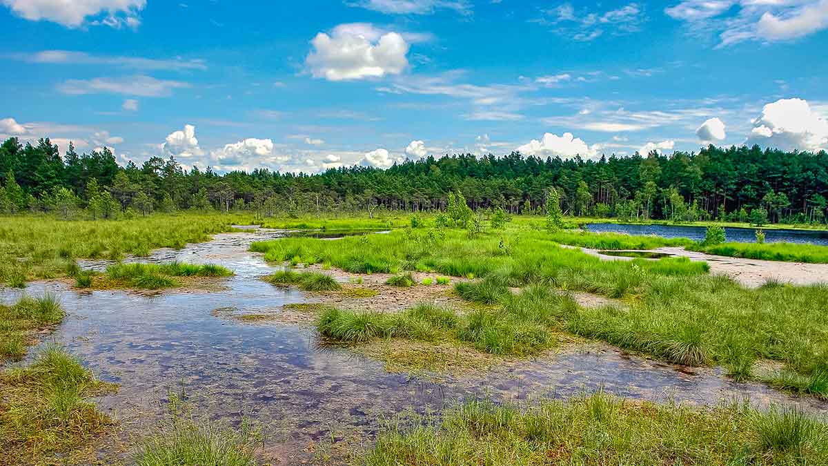 Ar iš balos tas gražumas. Ežerai, kurių beveik niekas neranda Ar iš balos tas gražumas. Ežerai, kurių beveik niekas neranda