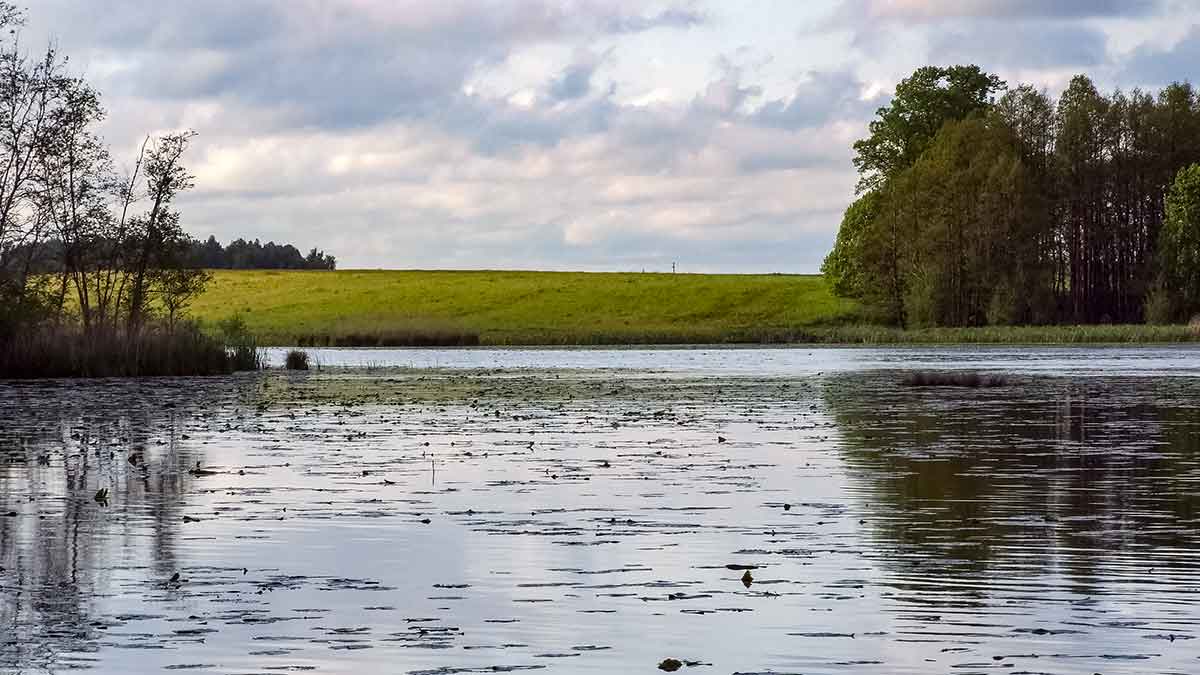 Žuvingas ežeras šalia didžiausio Lietuvos akmens Žuvingas ežeras šalia didžiausio Lietuvos akmens