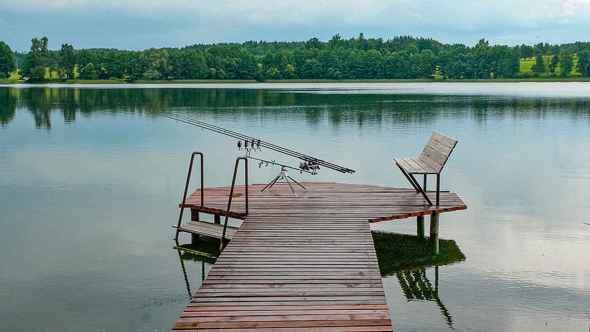 Karpių gaudymo vingrybės. Įranga ir sistemėlės Karpių gaudymo vingrybės. Įranga ir sistemėlės