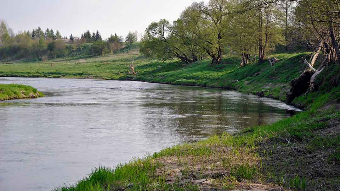 Šapalų spiningavimas pavasarį Šapalų spiningavimas pavasarį