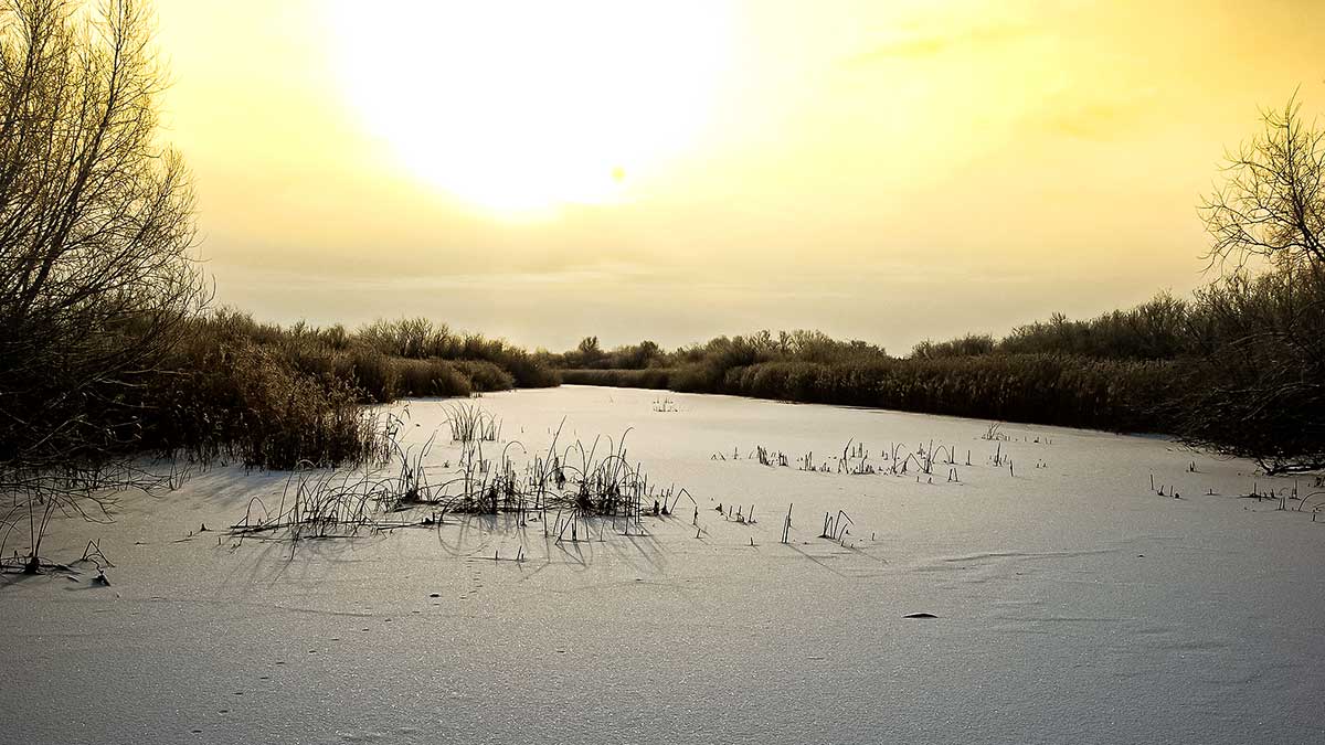 Poledinė lydekų žūklė švytuoklėmis – pasakyti turiu dar daug ką... Poledinė lydekų žūklė švytuoklėmis – pasakyti turiu dar daug ką...