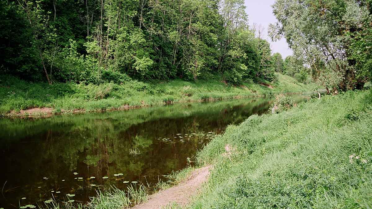 Su plūdine vidurupyje Su plūdine vidurupyje