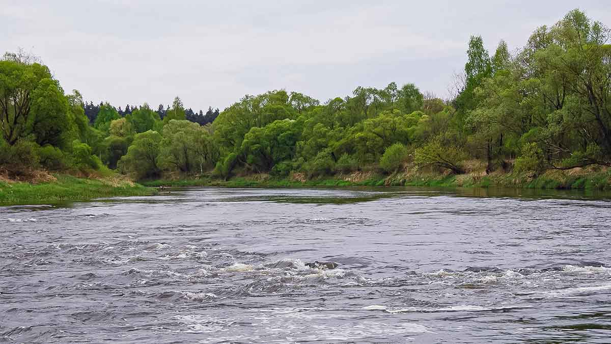 Vobleriai, su kuriais gaudau šapalus Vobleriai, su kuriais gaudau šapalus